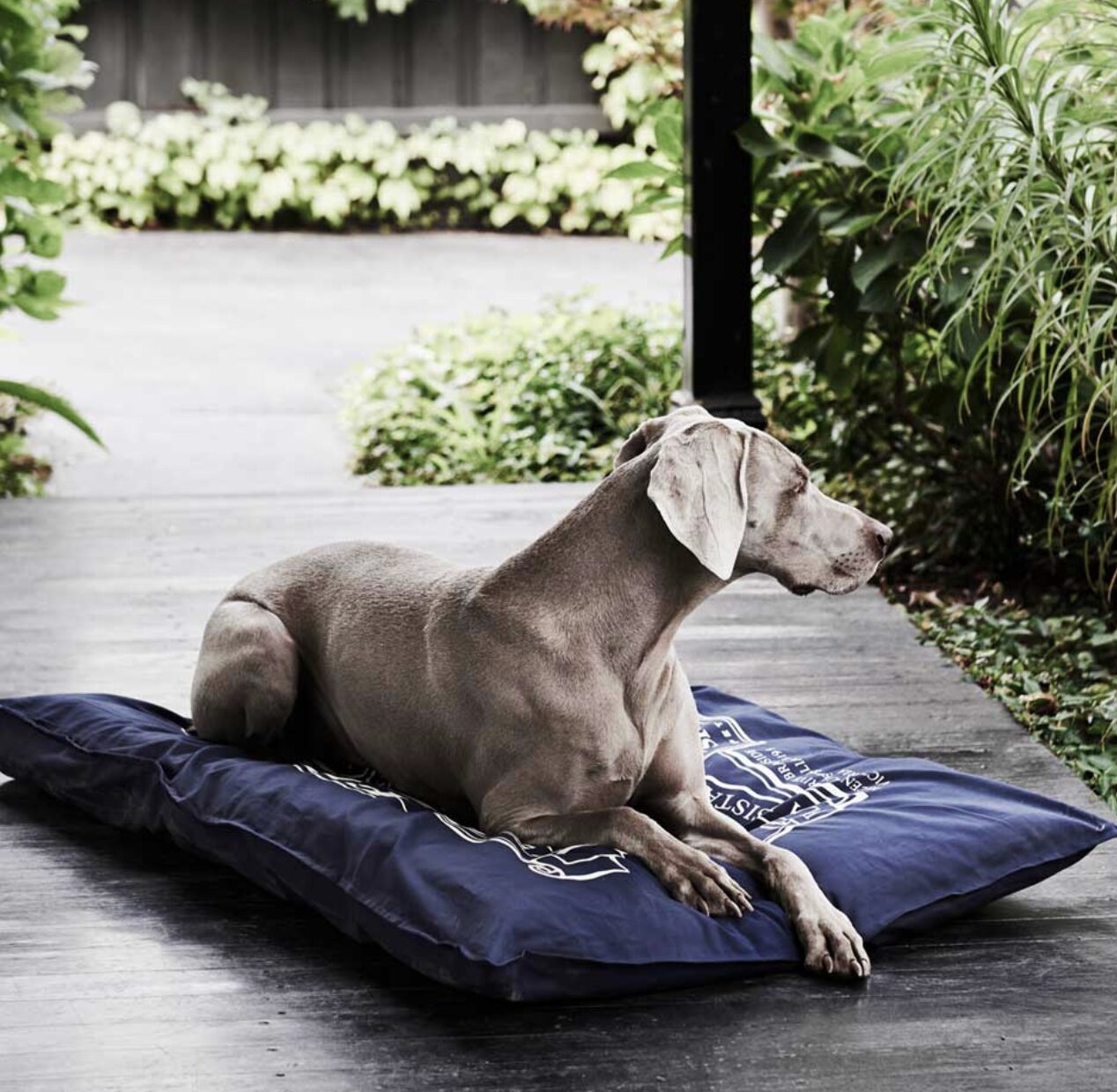 Snooza オーガニックペット布団