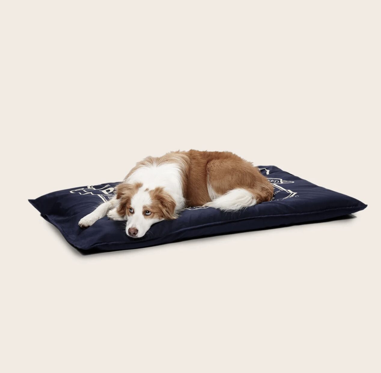 Snooza オーガニックペット布団 - 画像 (3)