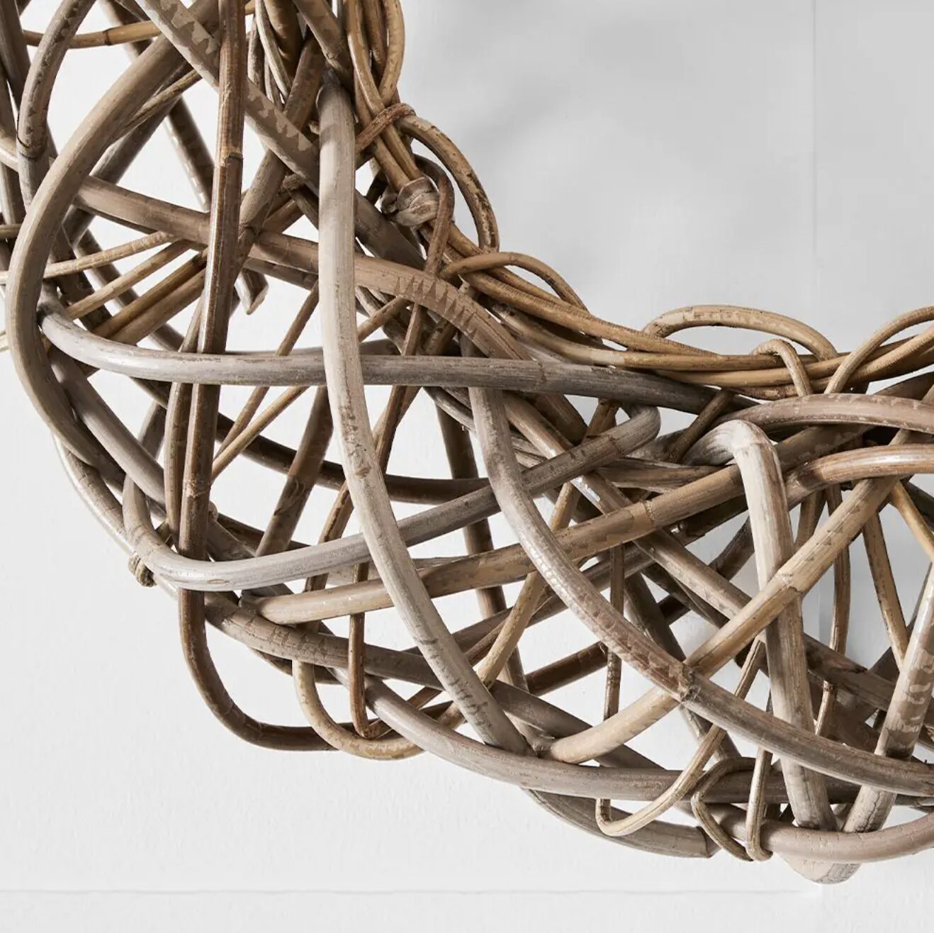 クブ・ラタンリース 65cm - 画像 (4)